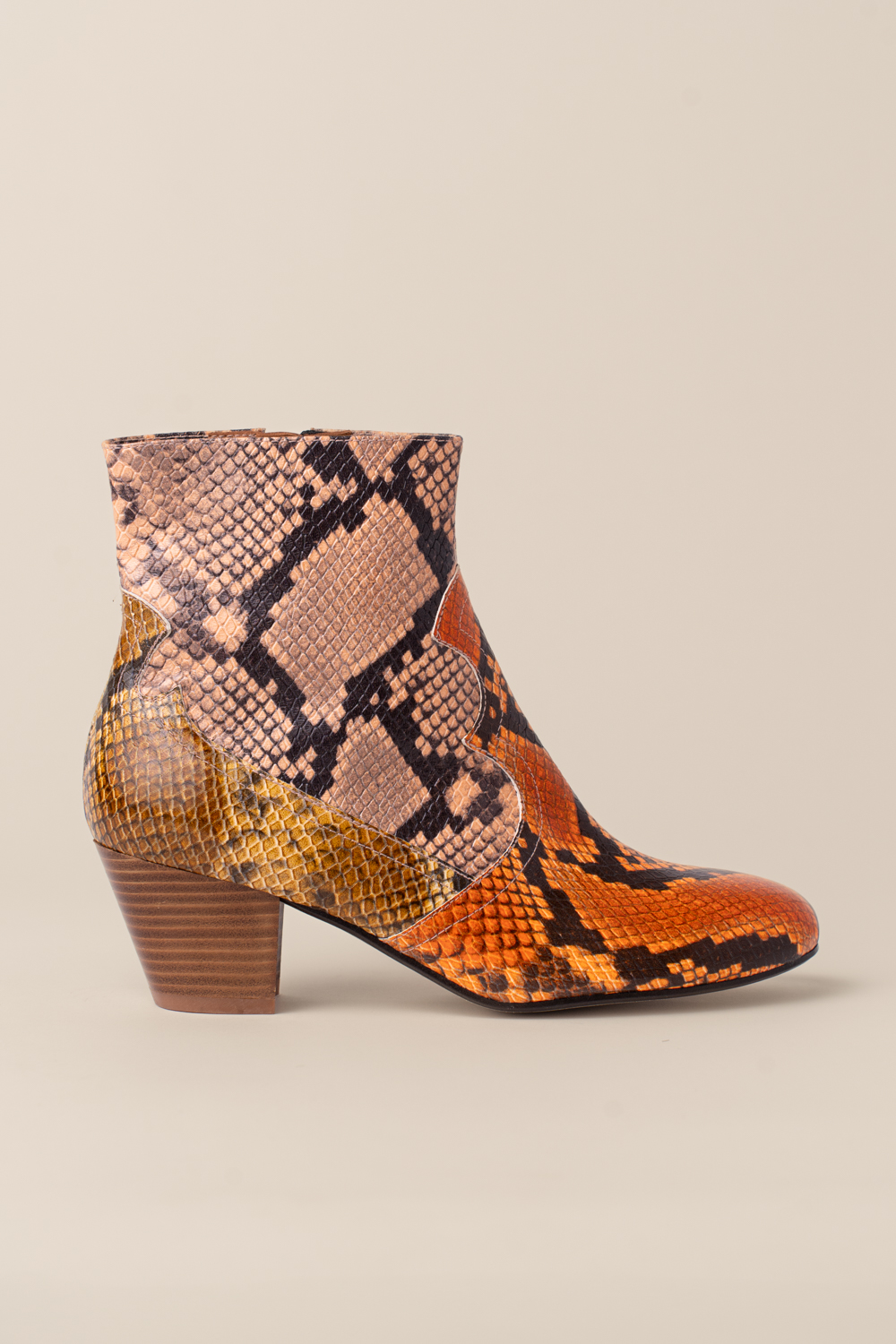 Botin Tintoretto Elephe